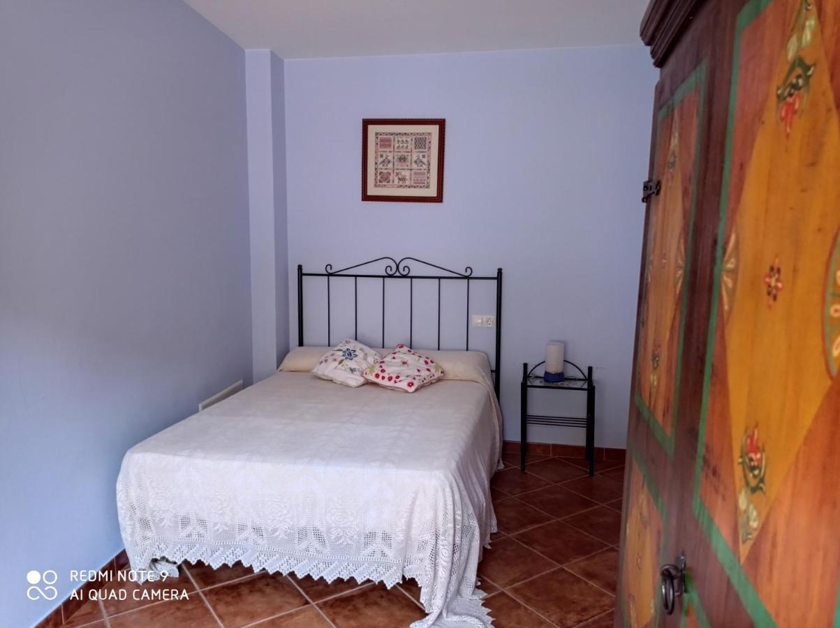 Casa Rural Alicia Villafranca de Ebro Exterior photo